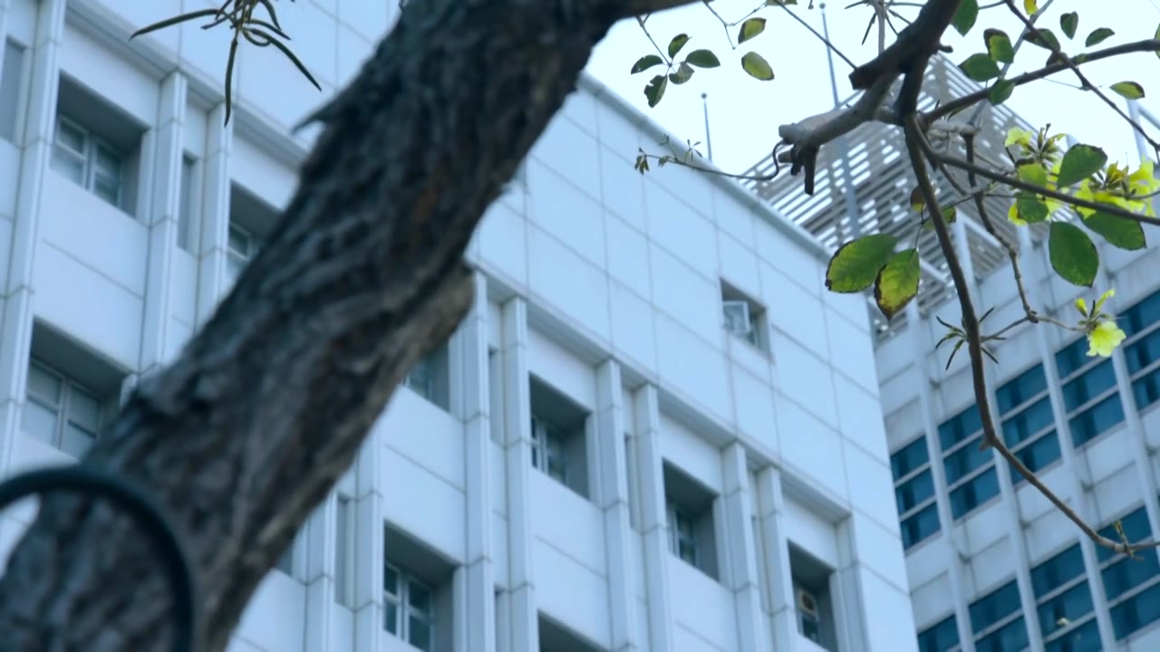 HỘ VỆ THẦM LẶNG tập 1 cảnh 3