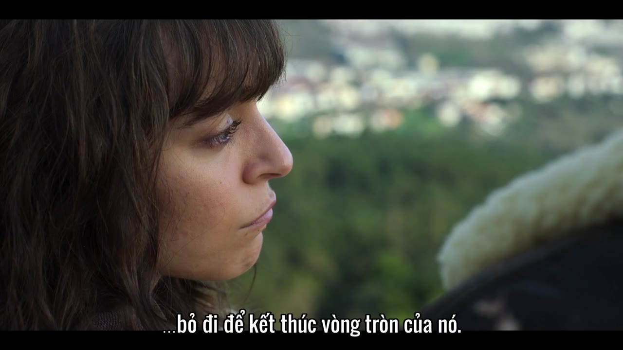 Chó già, trò mới tập 6 cảnh 3