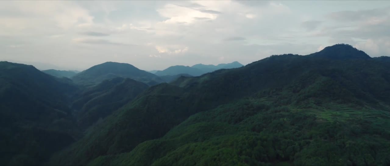 Bút Ký Tư Gia Của Ngô Tà tập 5