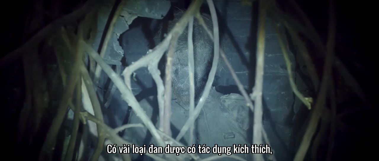 Bút Ký Tư Gia Của Ngô Tà tập 6 cảnh 2