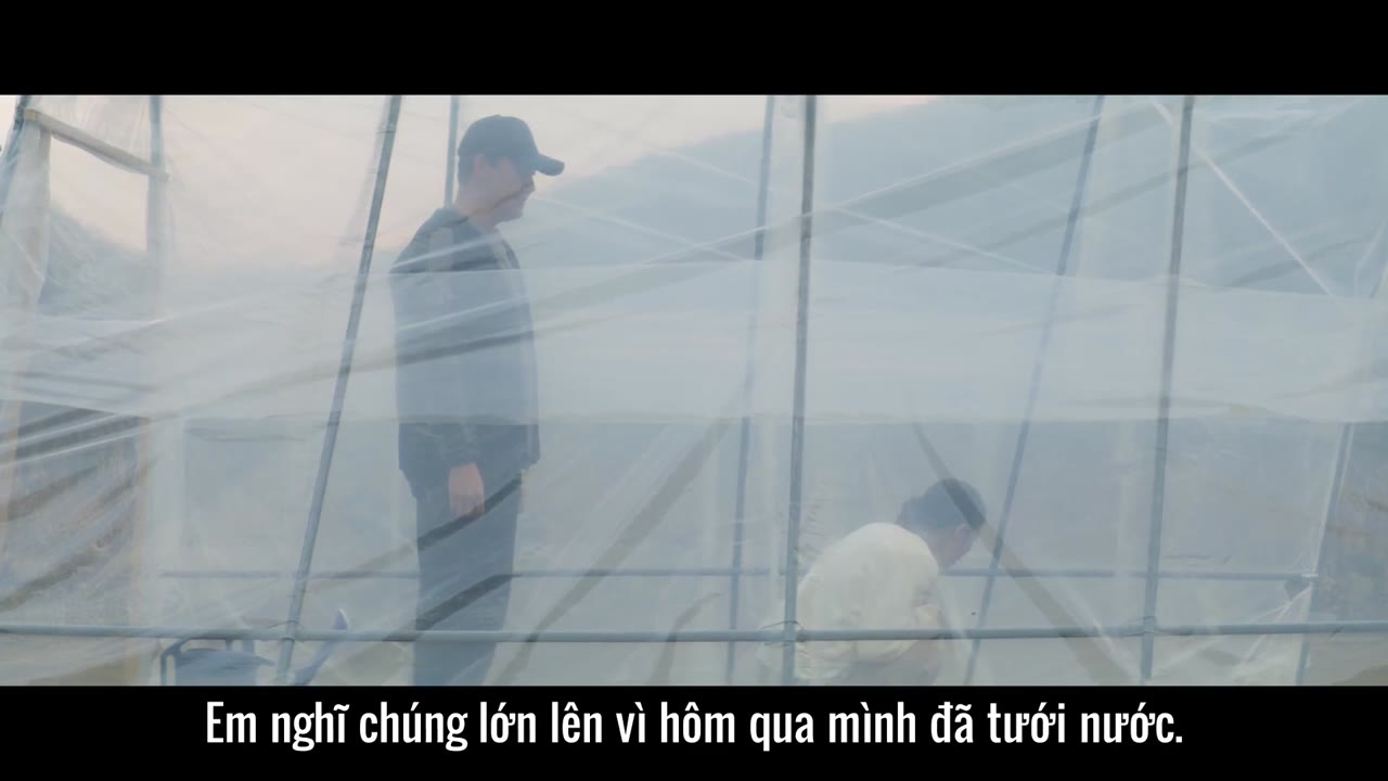 Đời Cải Thảo tập 3 cảnh 3