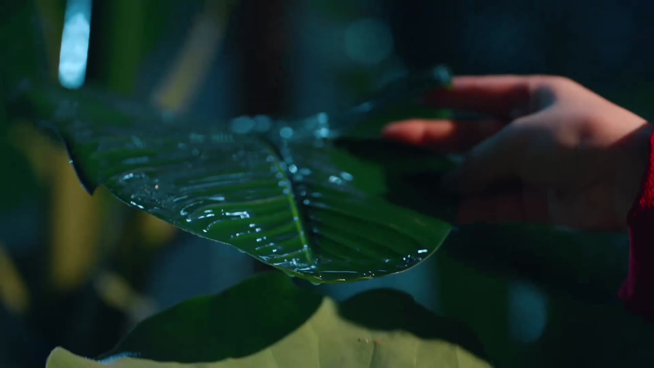 Tự Cẩm tập 2 cảnh 2