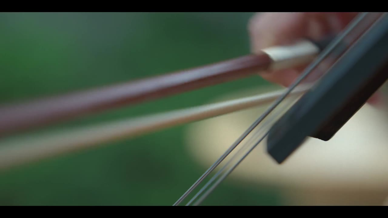 Vị Khách tập 5