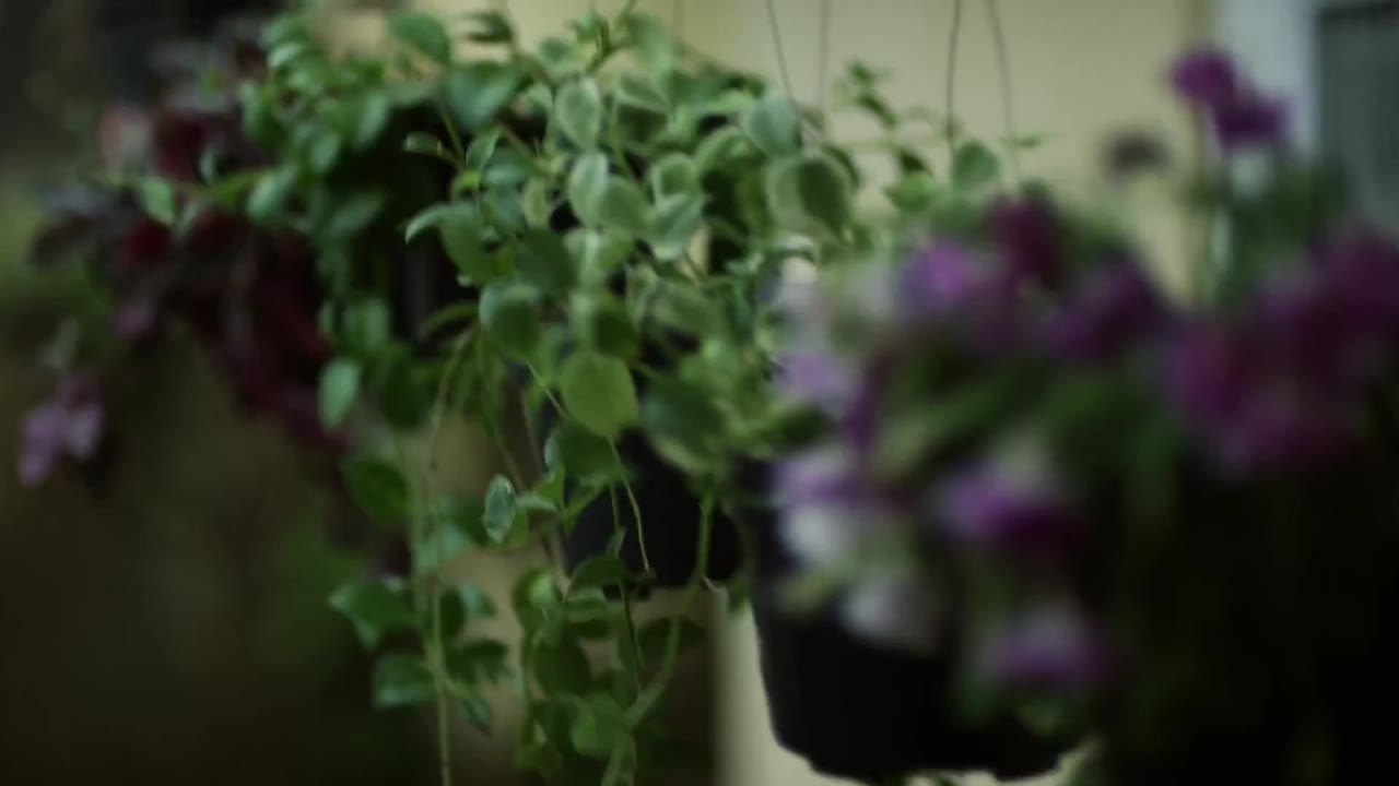 Kiếp Người tập 3 cảnh 3
