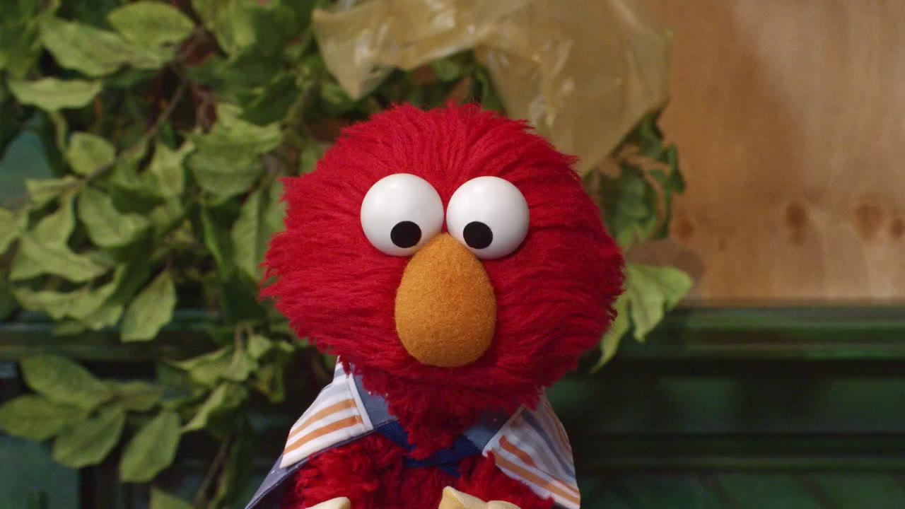 Sesame Street Bão Đang Tới - cảnh 3