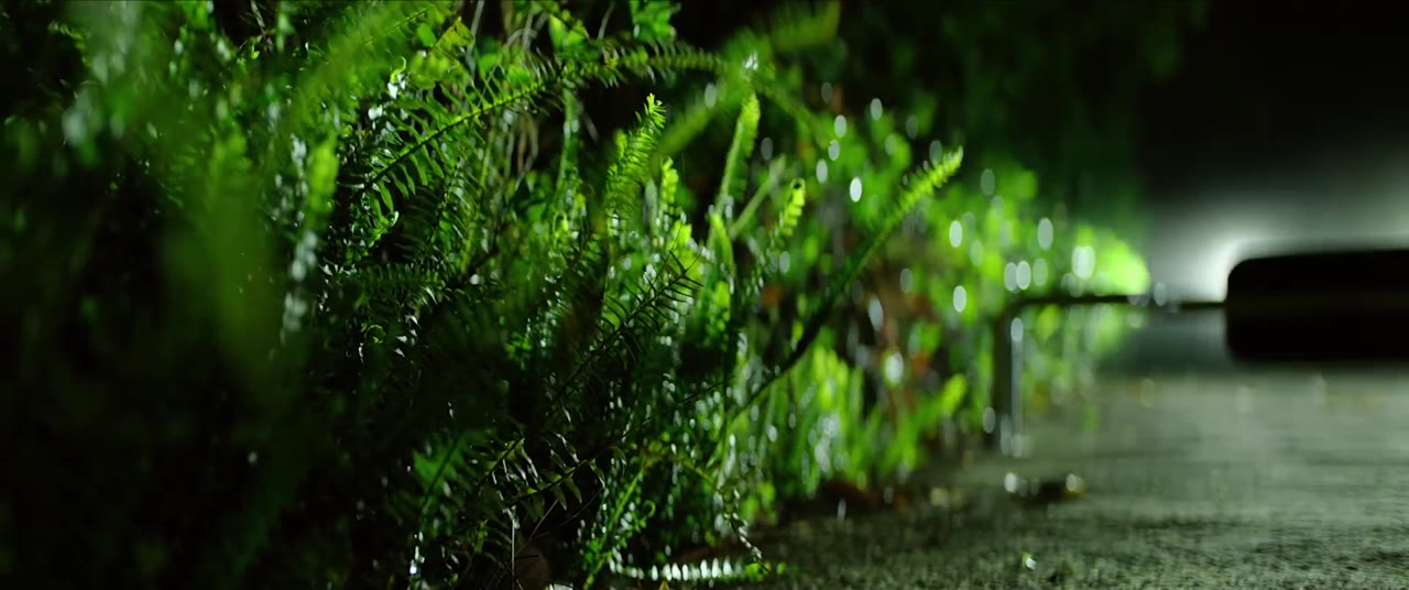 Hộp Bất Ngờ - cảnh 3