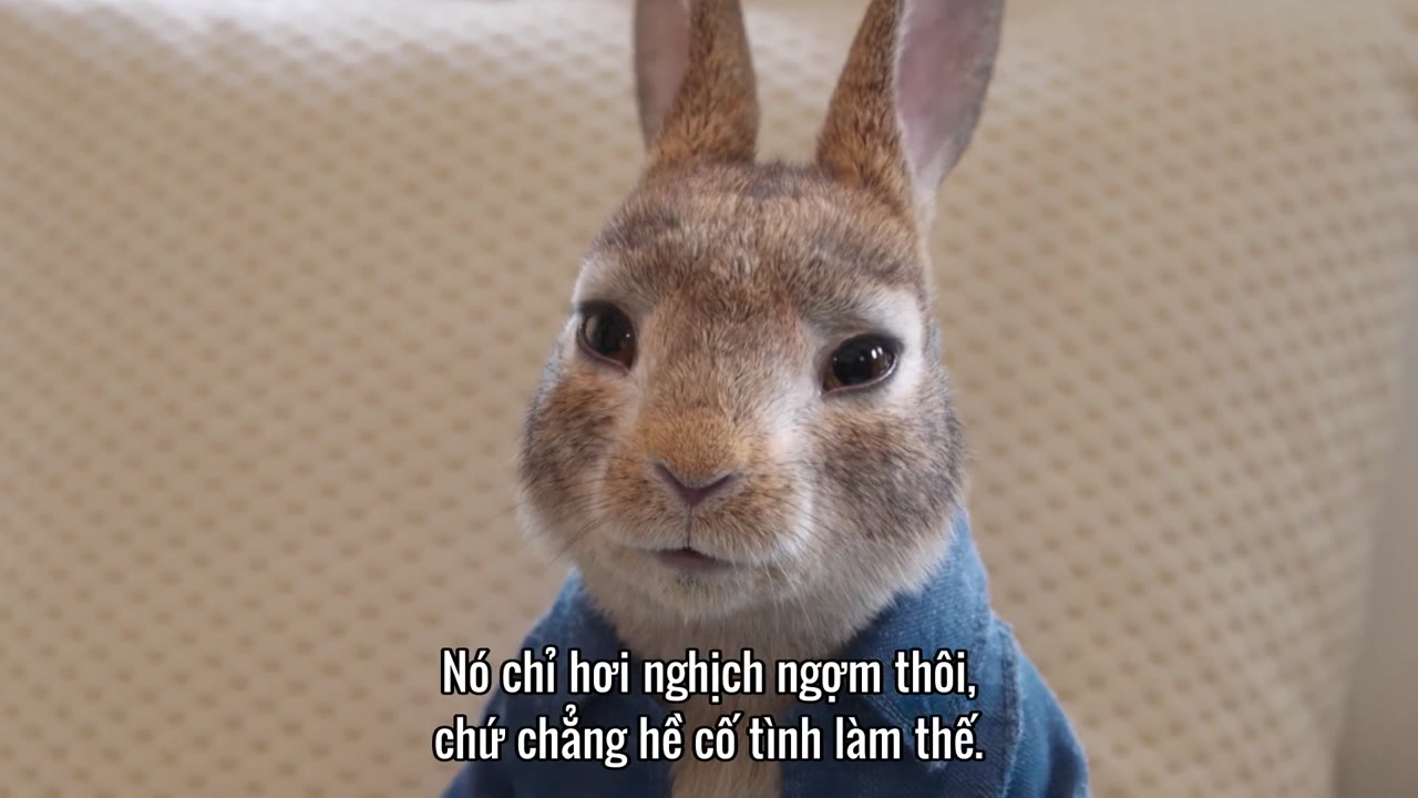 Thỏ Peter 2: Cuộc Trốn Chạy - cảnh 1