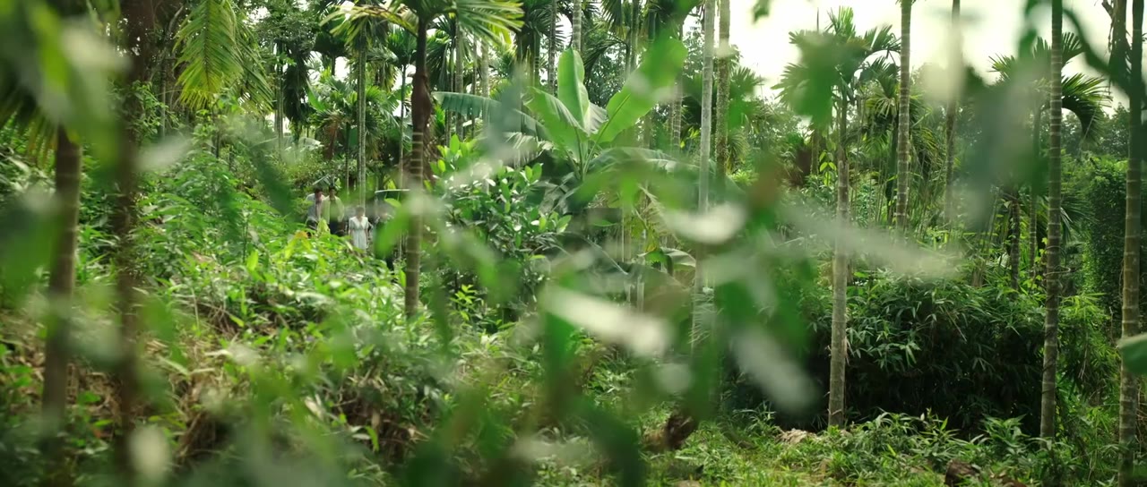 Kẻ Săn Ong tập 1 cảnh 3