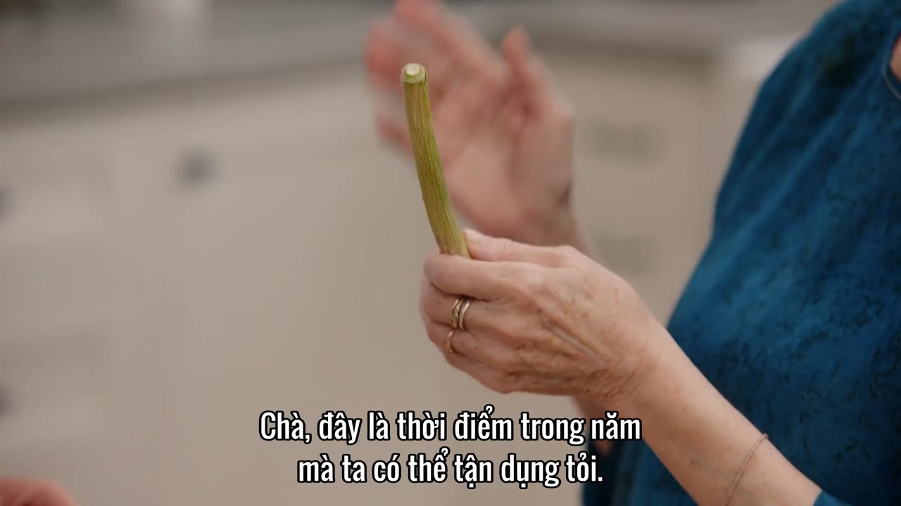 Thương Mến, Meghan (Phần 1) tập 8
