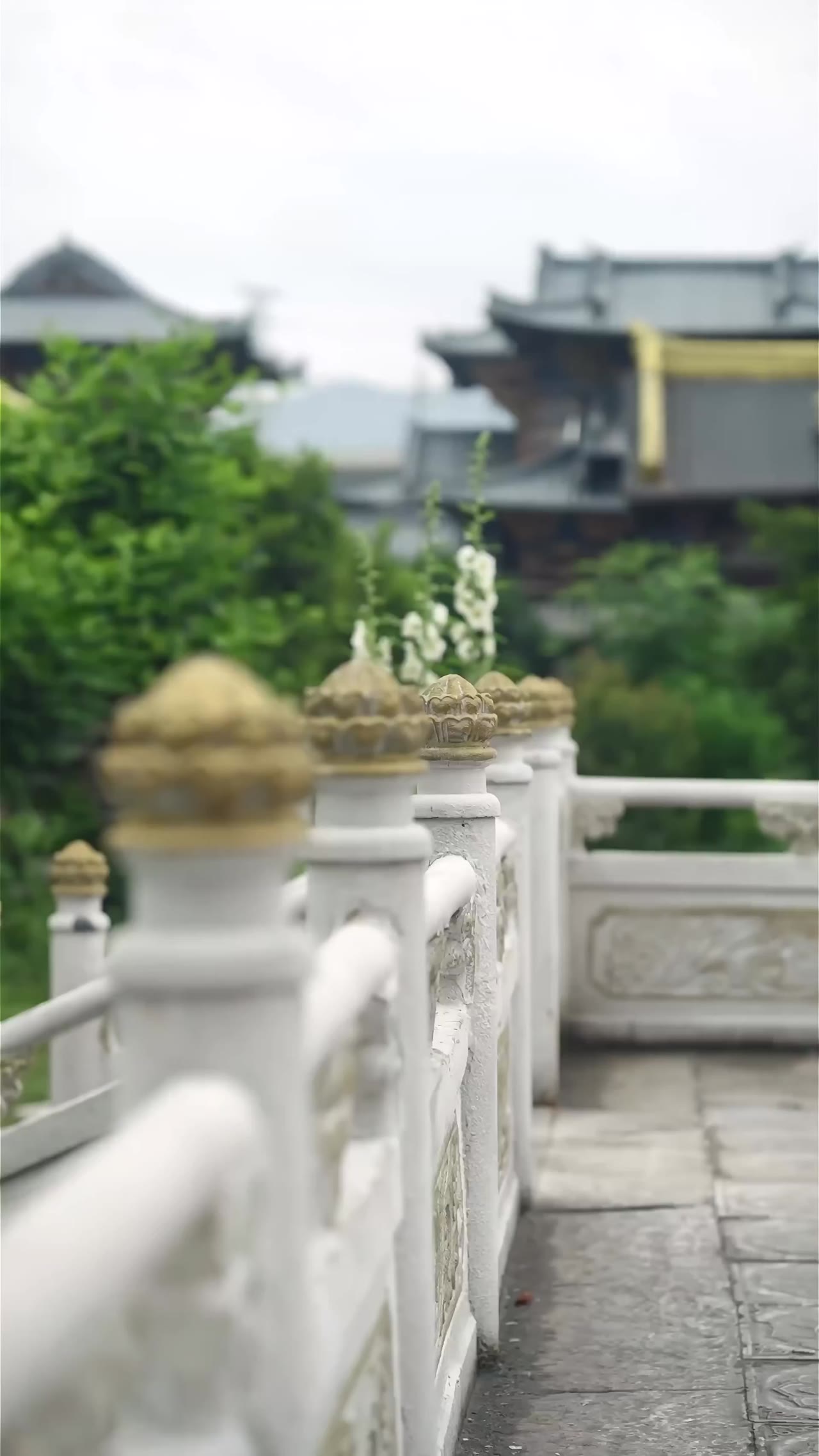 Còn Ra Thể Thống Gì Nữa tập 14 cảnh 2