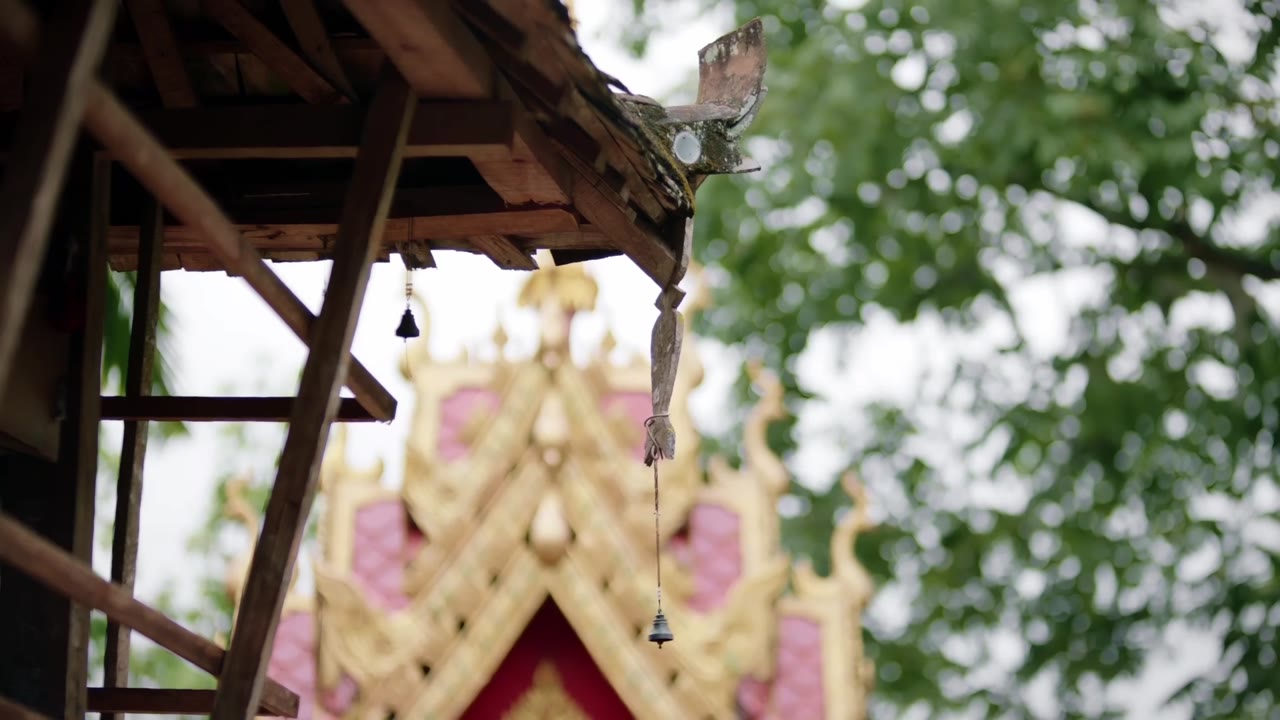 Tiên Sinh Ẩn Cư Yêu Dấu tập 19