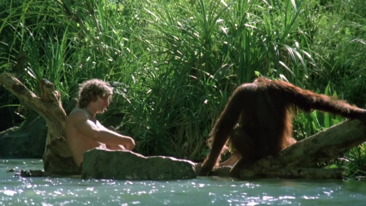 Tarzan Người Khỉ tập 1 cảnh 3