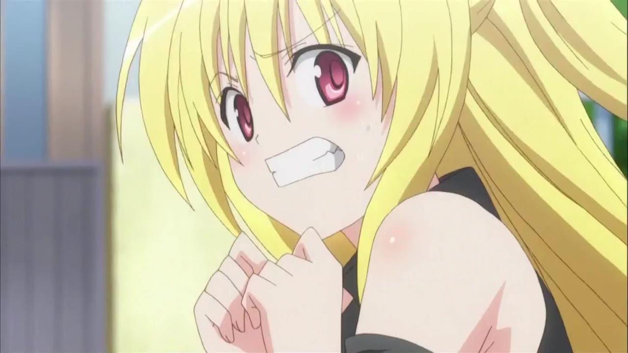 To Love-Ru Motto tập 8 cảnh 3