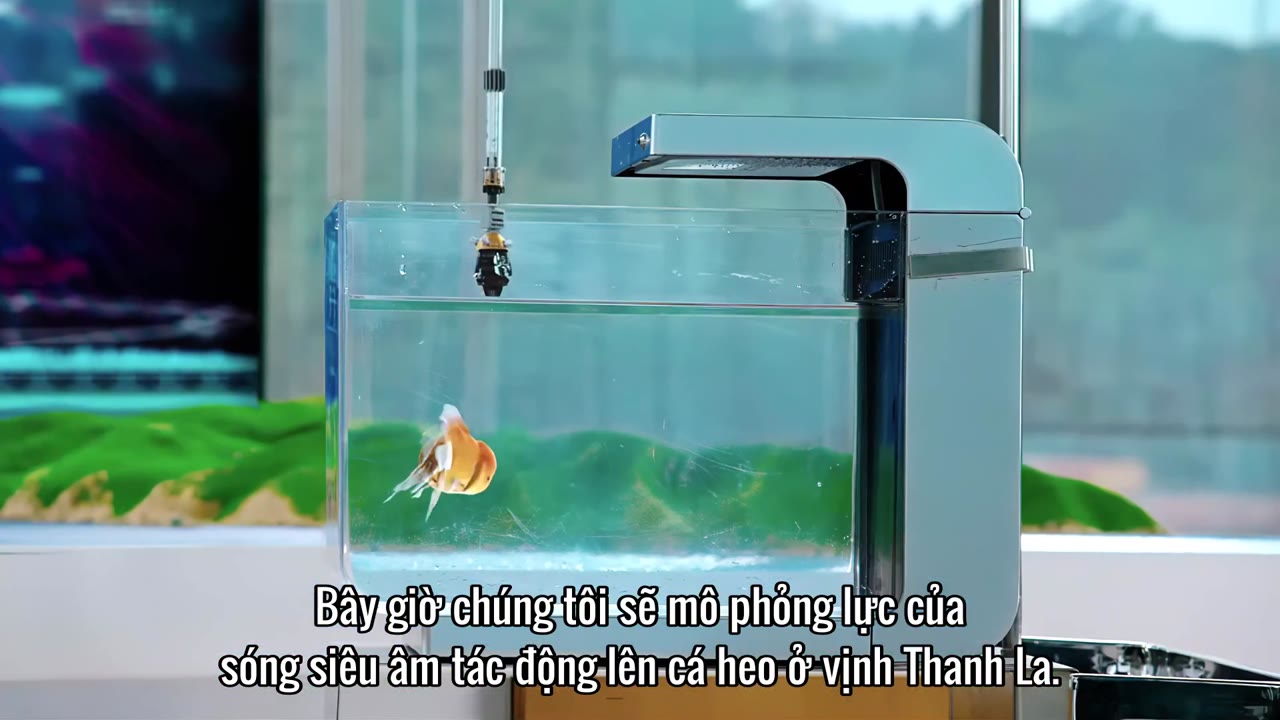 Mỹ nhân ngư - cảnh 1
