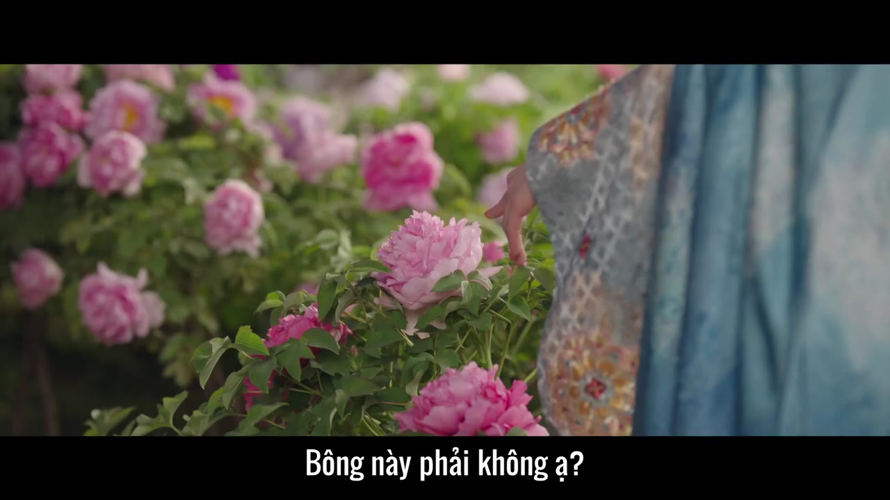 Quốc Sắc Phương Hoa tập 2