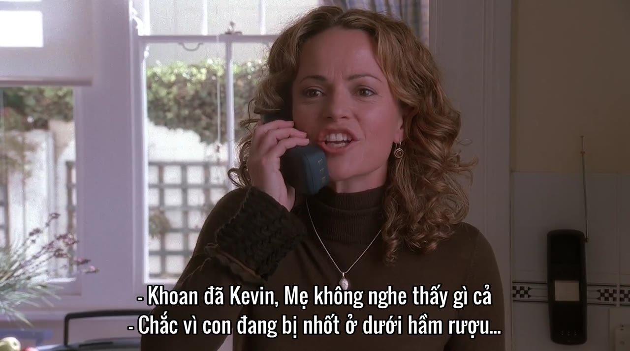 Home Alone 4 tập 1 cảnh 3
