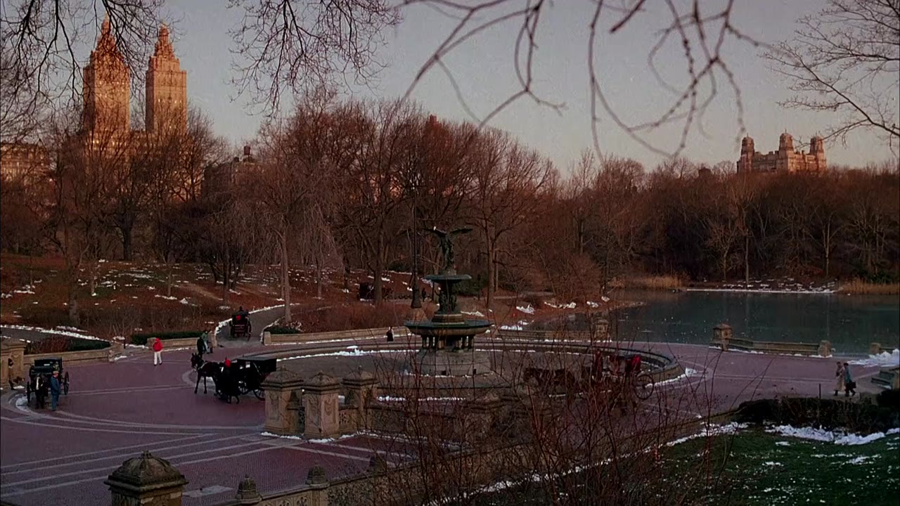 Home Alone 2: Lost in New York - cảnh 2
