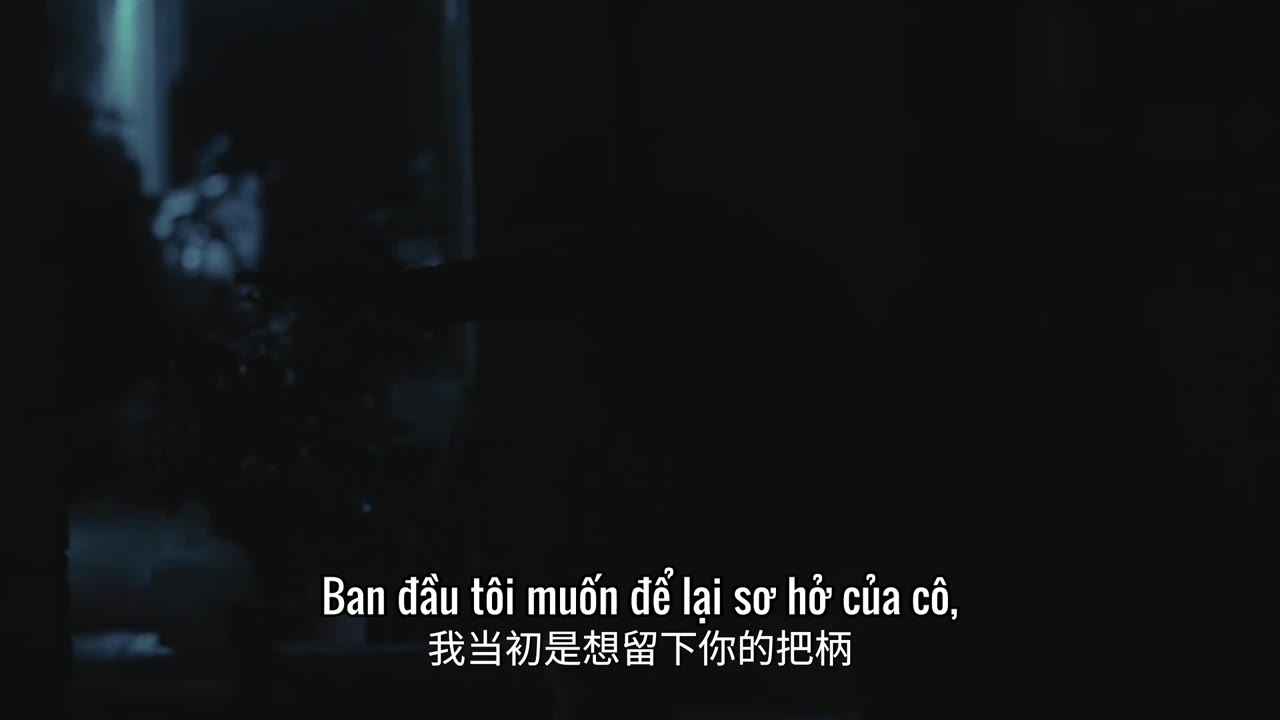 Anh Vũ tập 29