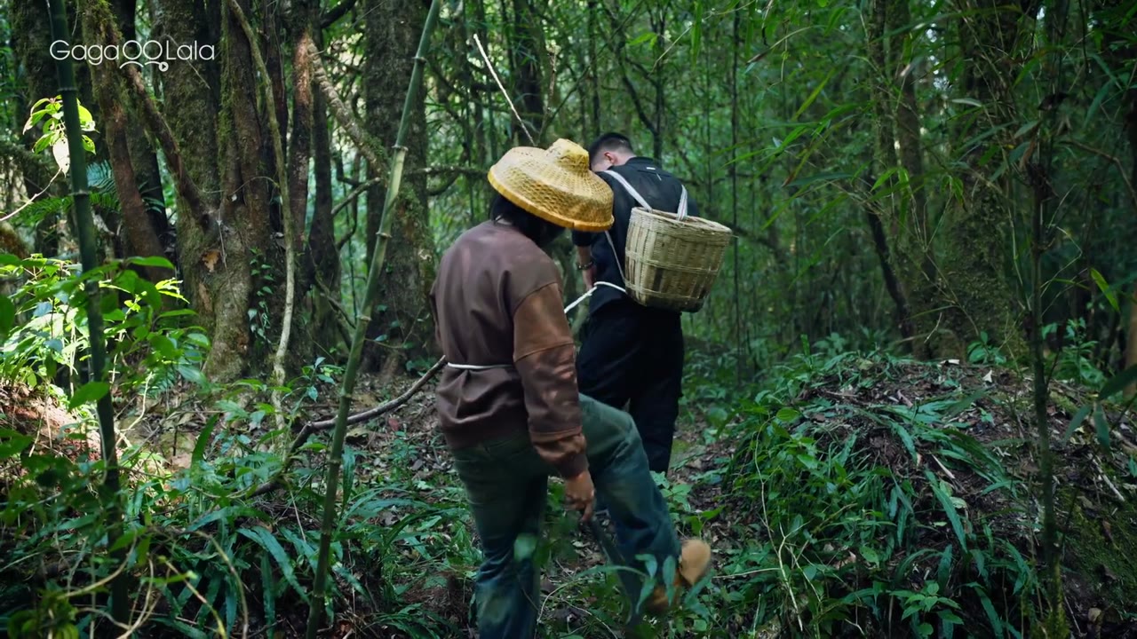 Gió Nổi Hàn Dương, Xuân Sơn Cảnh (Nắng Đông Gọi Gió Trên Núi Xuân) tập 3