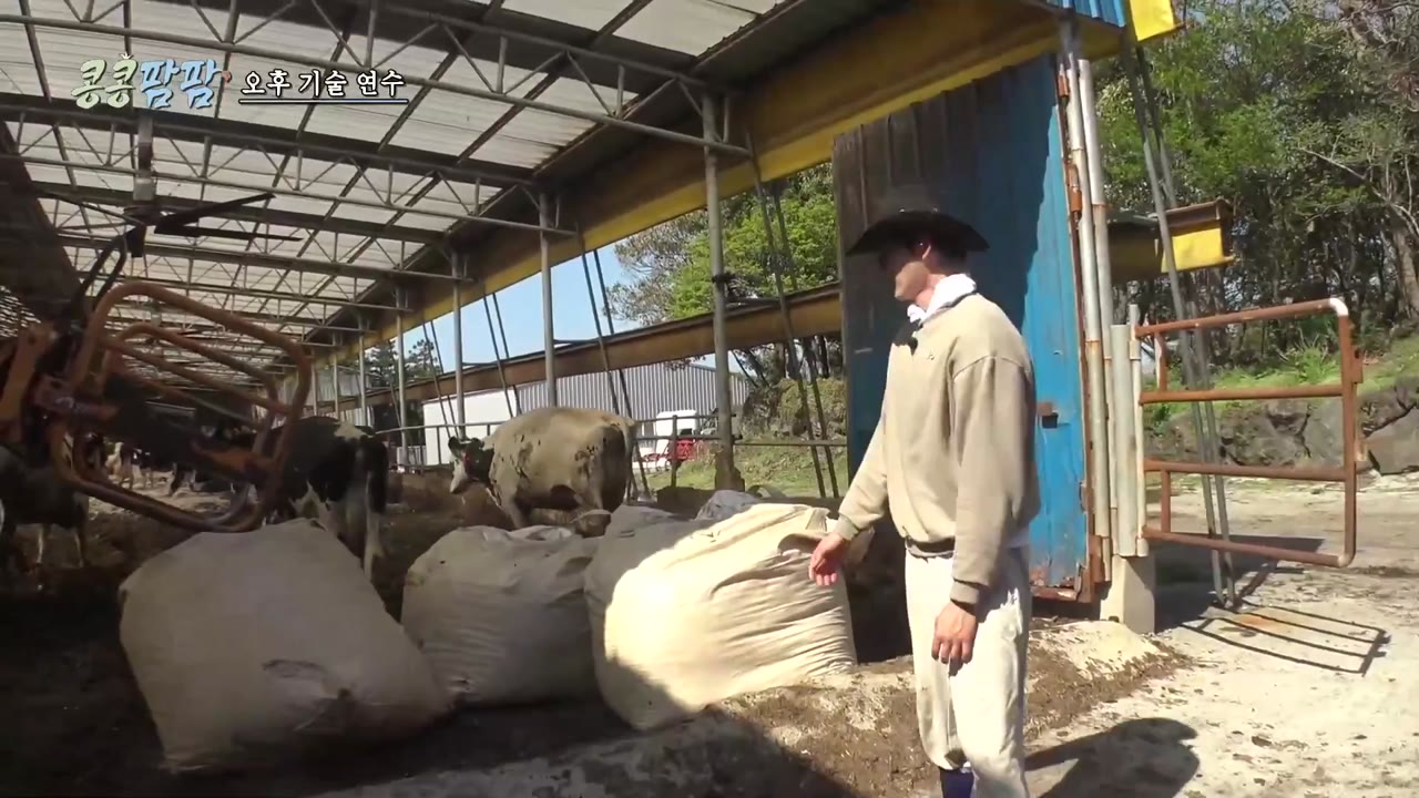 Gieo Gì Gặt Nấy: Nông Trại Thẳng Tiến tập 2 cảnh 3